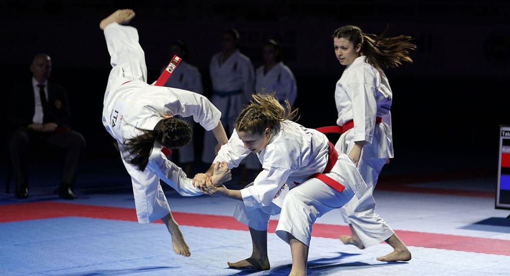 Chart showing Korean numbers used in karate classes, illustrating how martial artists count from 1 to 10 in Korean during training sessions — Korean Numbers Karate: Your Complete Guide to Counting in Korean Martial Arts